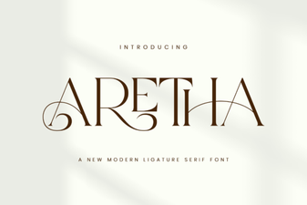 Explore the Artistic Versatility of Aretha Font